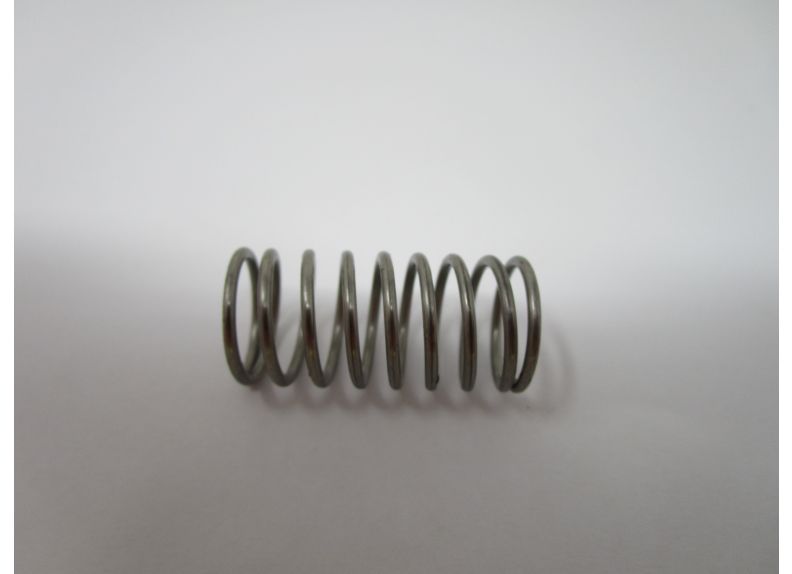 Inlet Valve Spring | 22A900008