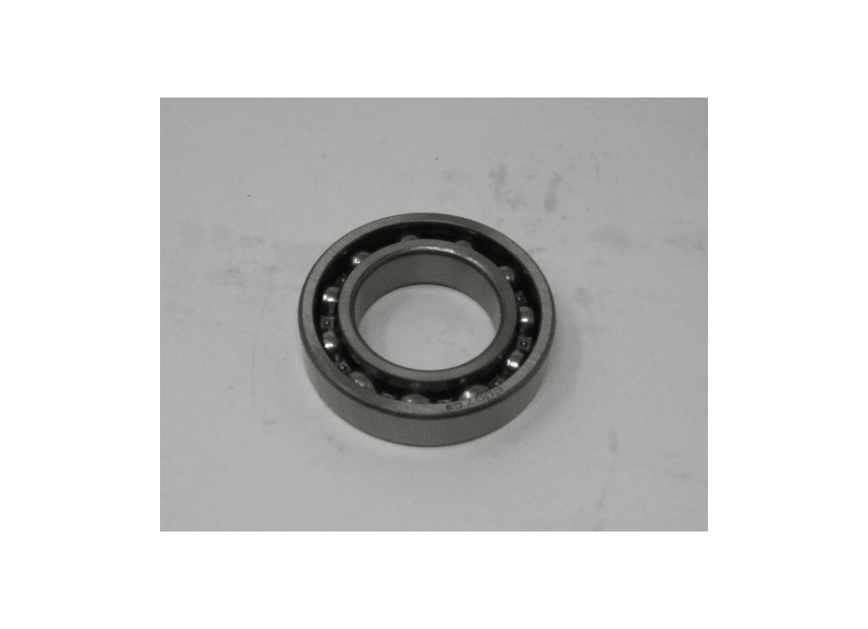 Ball Bearing | BB-6007