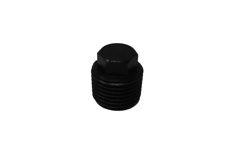 Throttle Valve Plug | JCT3640-01