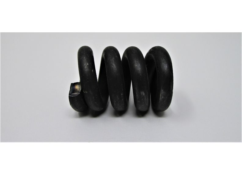 Spring | JWBS14SFX-079