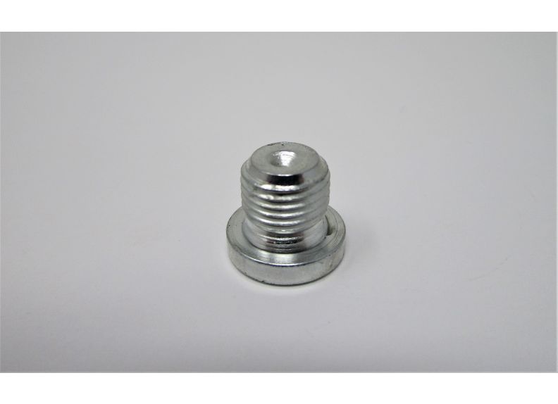 Screw Plug M10X1 | PT2036-2-34
