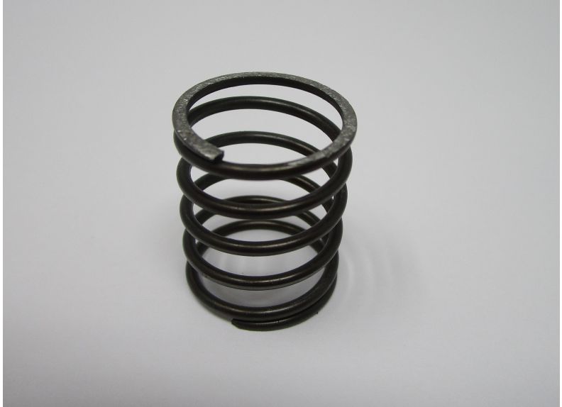 Throttle Valve Spring | Y10430150