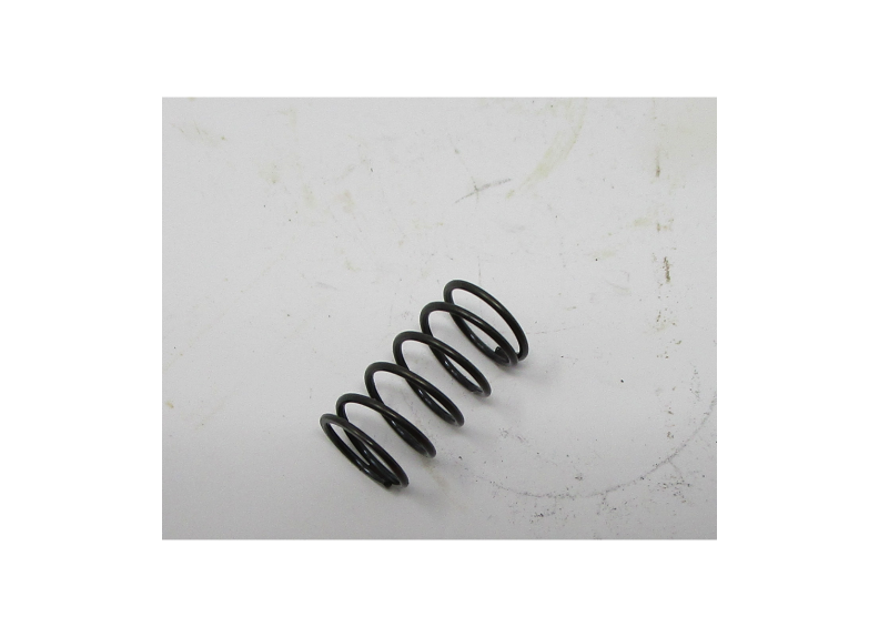 Thriottle Valve Spring | Y31002050
