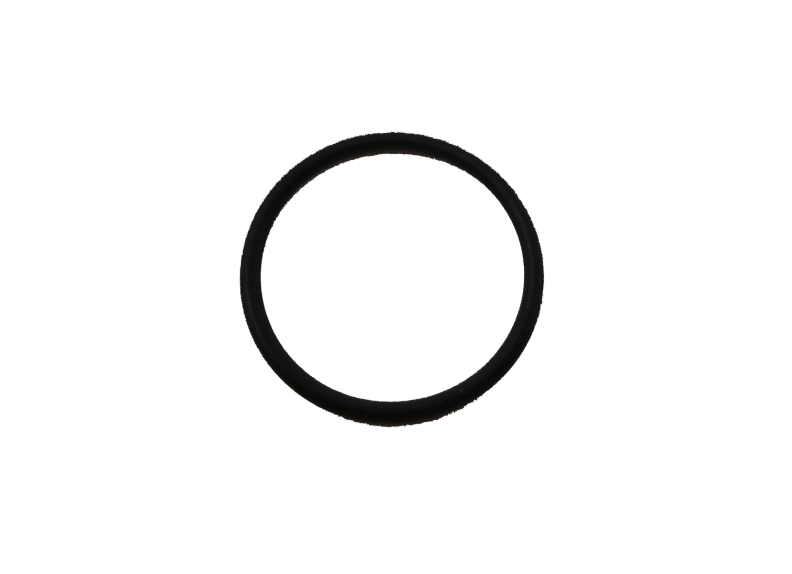 O-Ring | Y31002200